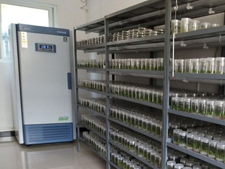 恒溫恒濕培養(yǎng)箱-更高、更佳的控制效果